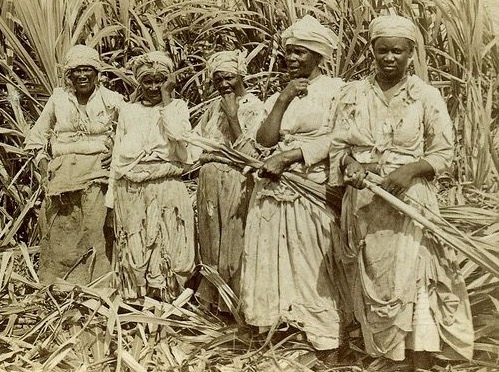 Sugar Cane Field Hands, Montego, Jamaica (1)