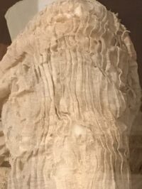 5 Pleated detail of Detail of the Tarkan Dress in The Petrie Museum, London